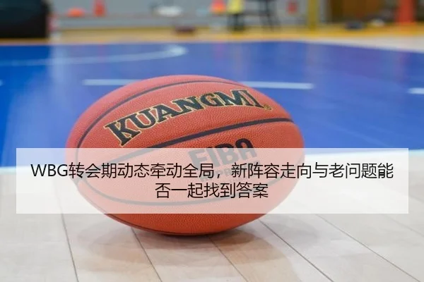 WBG转会期动态牵动全局，新阵容走向与老问题能否一起找到答案 - douyusports