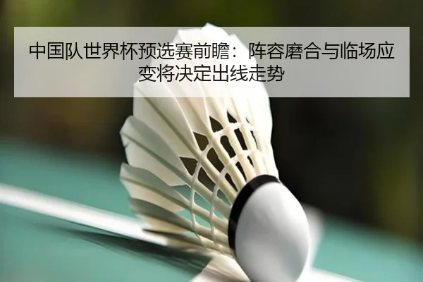 中国队世界杯预选赛前瞻：阵容磨合与临场应变将决定出线走势 - douyusports